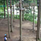 Jungle Raider Park - Civenna 048