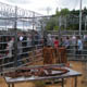 Thorpe Park 005