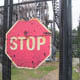 Thorpe Park 011