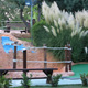 Indiana Golf 008