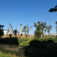 Cinecittà World 002