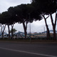 Cinecittà World 016