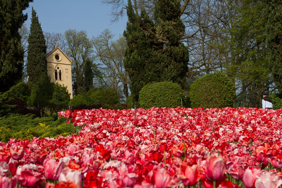 Parco Giardino Sigurtà 1 milione di Tulipani e 30.000 Rose a Primavera