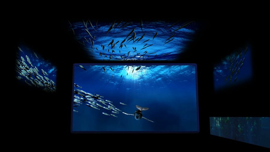 Acquario di Genova Il nuovo volto educativo targato Filmmaster