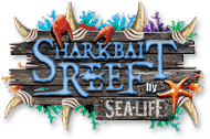 Sharkbait Reef by Sea Life (Alton Towers)